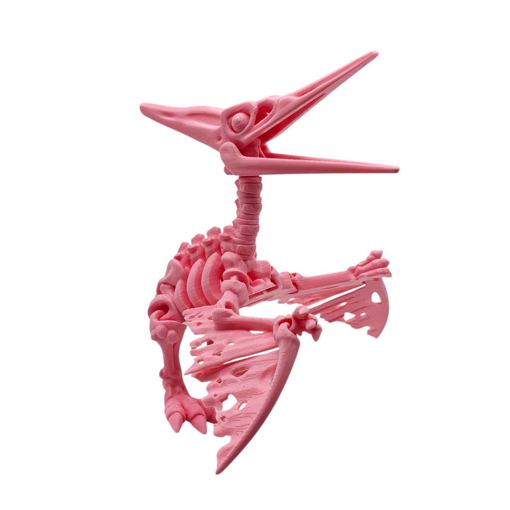 Articulated Skeleton Pterodactyl
