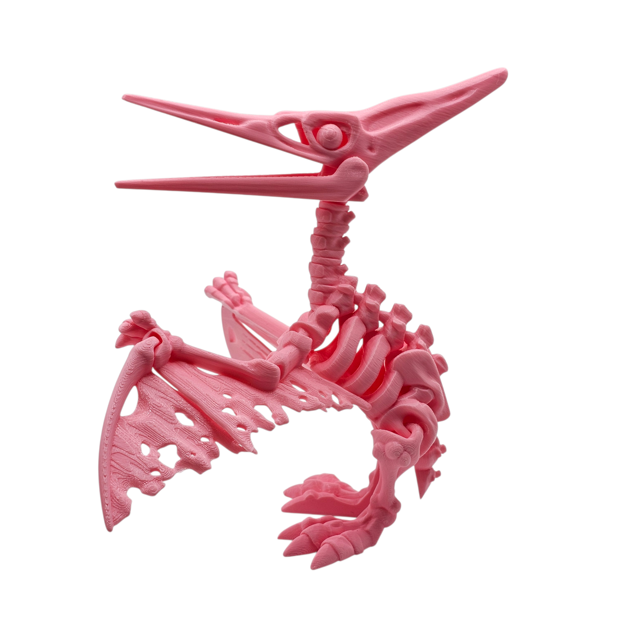 Articulated Skeleton Pterodactyl