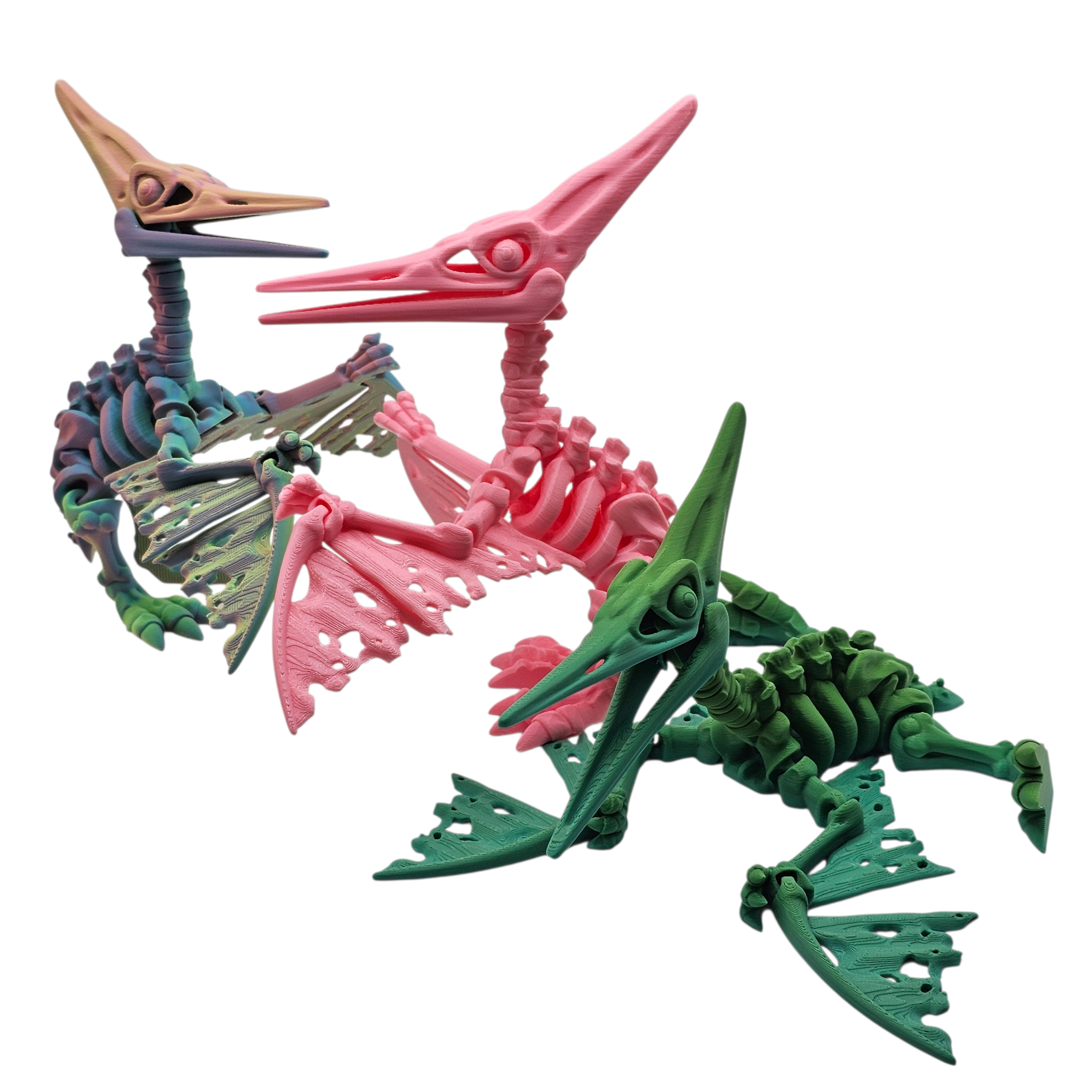 Articulated Skeleton Pterodactyl