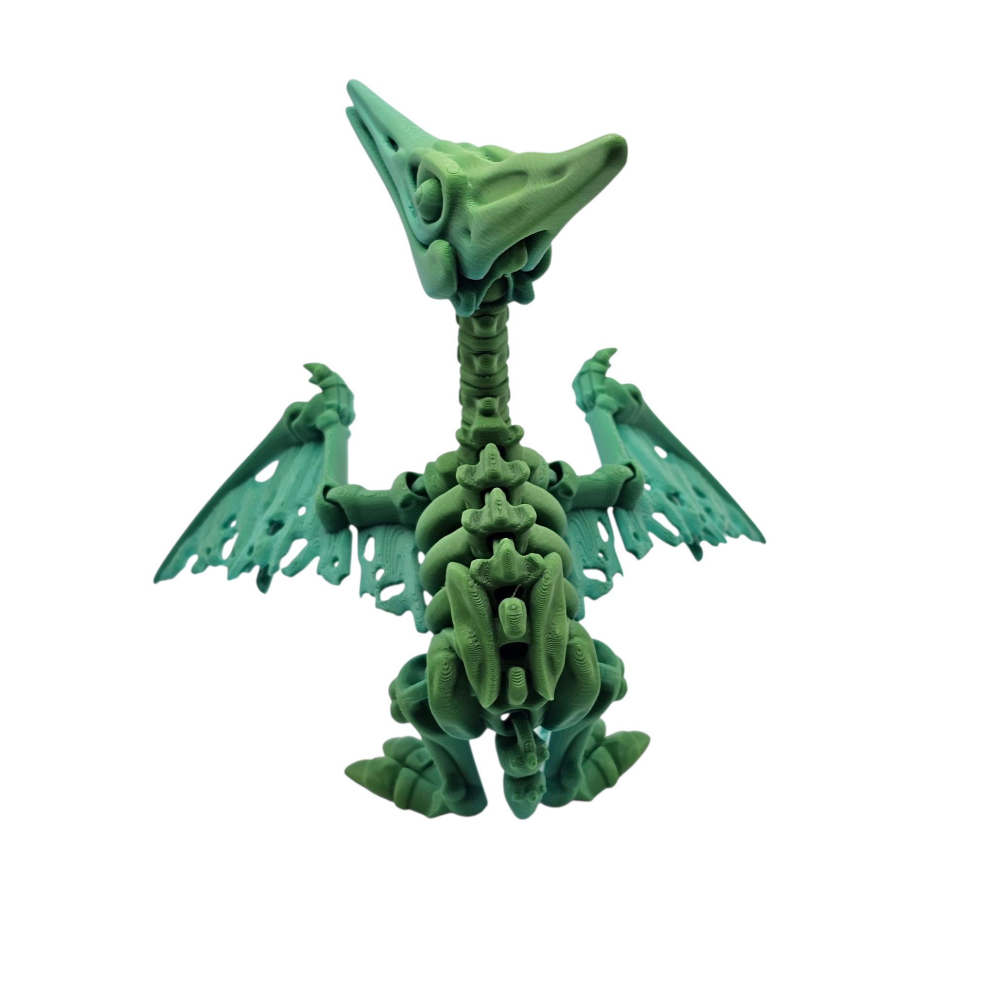 Articulated Skeleton Pterodactyl