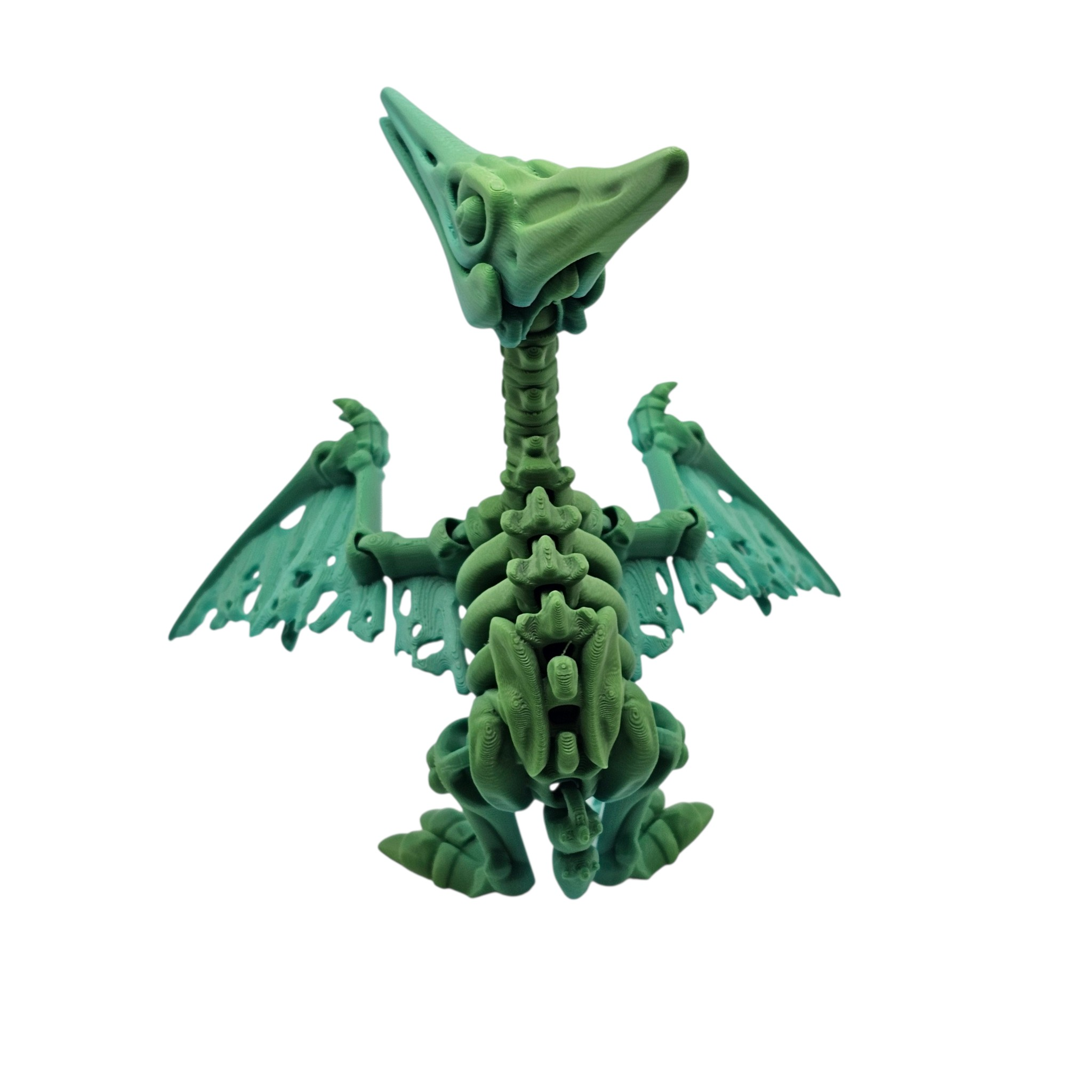 Articulated Skeleton Pterodactyl
