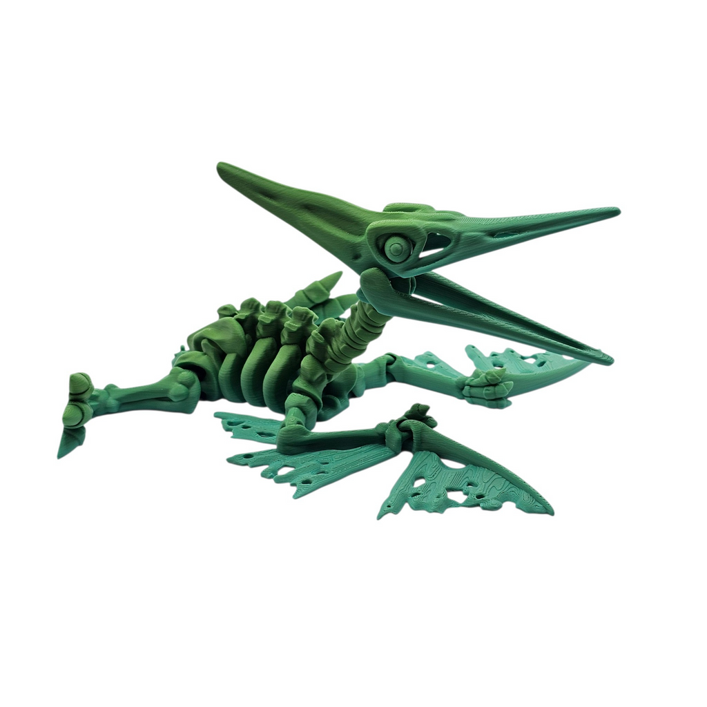 Articulated Skeleton Pterodactyl