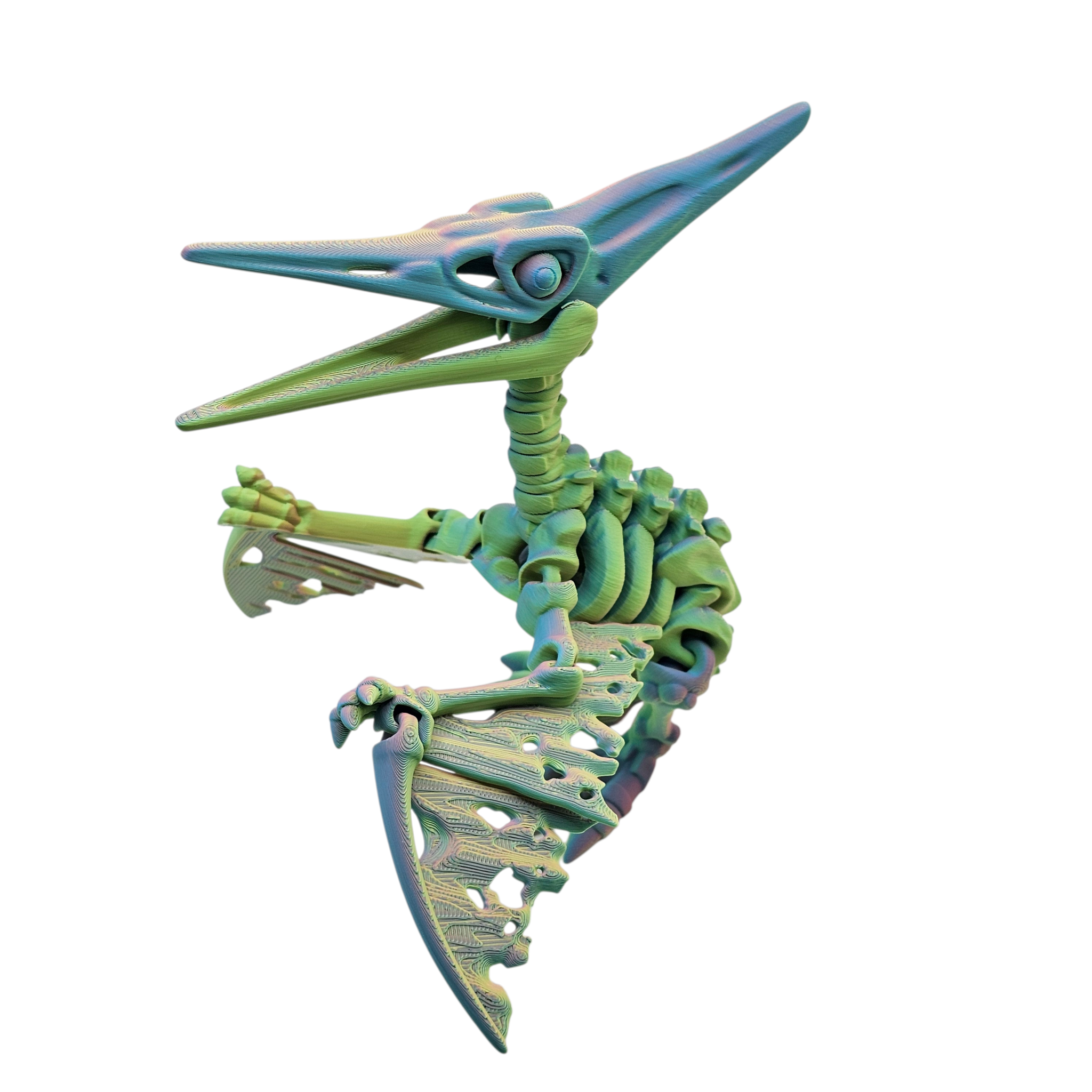 Articulated Skeleton Pterodactyl