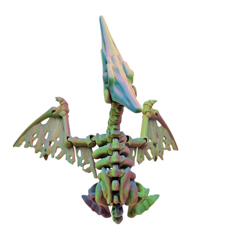 Articulated Skeleton Pterodactyl
