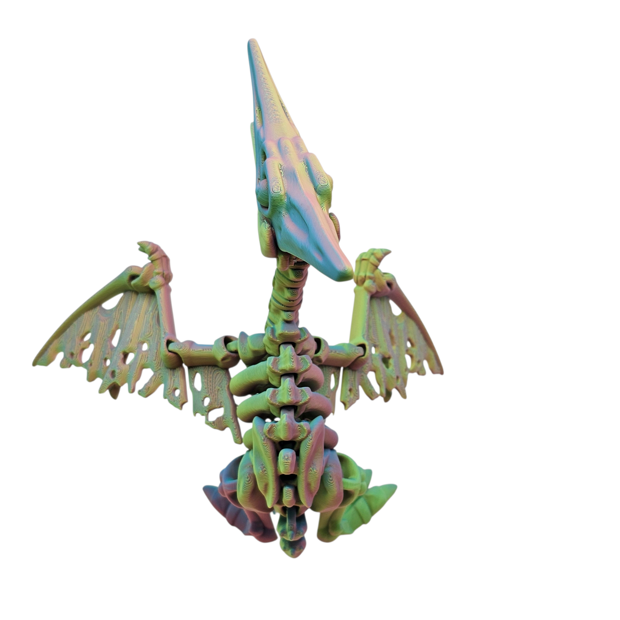 Articulated Skeleton Pterodactyl