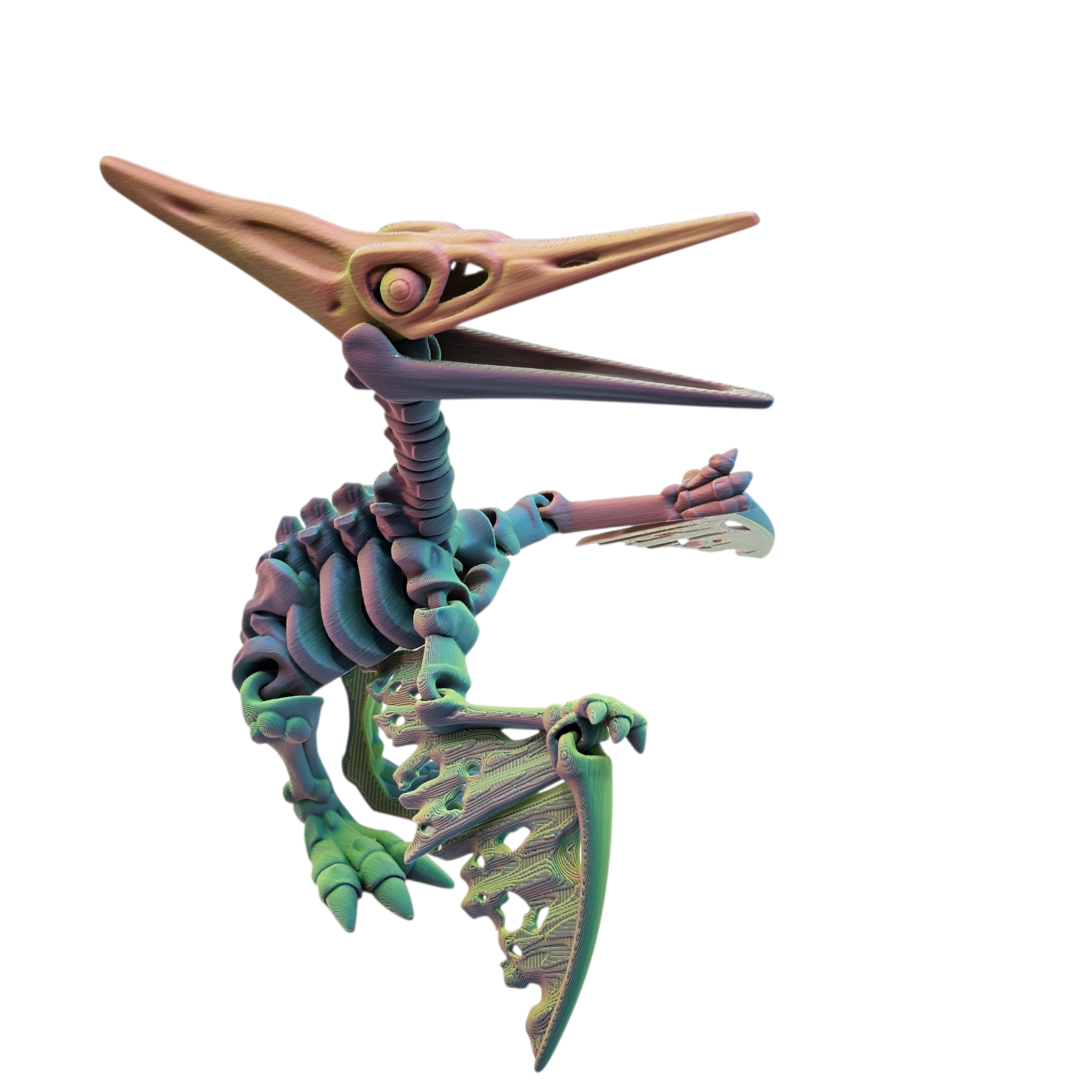 Articulated Skeleton Pterodactyl