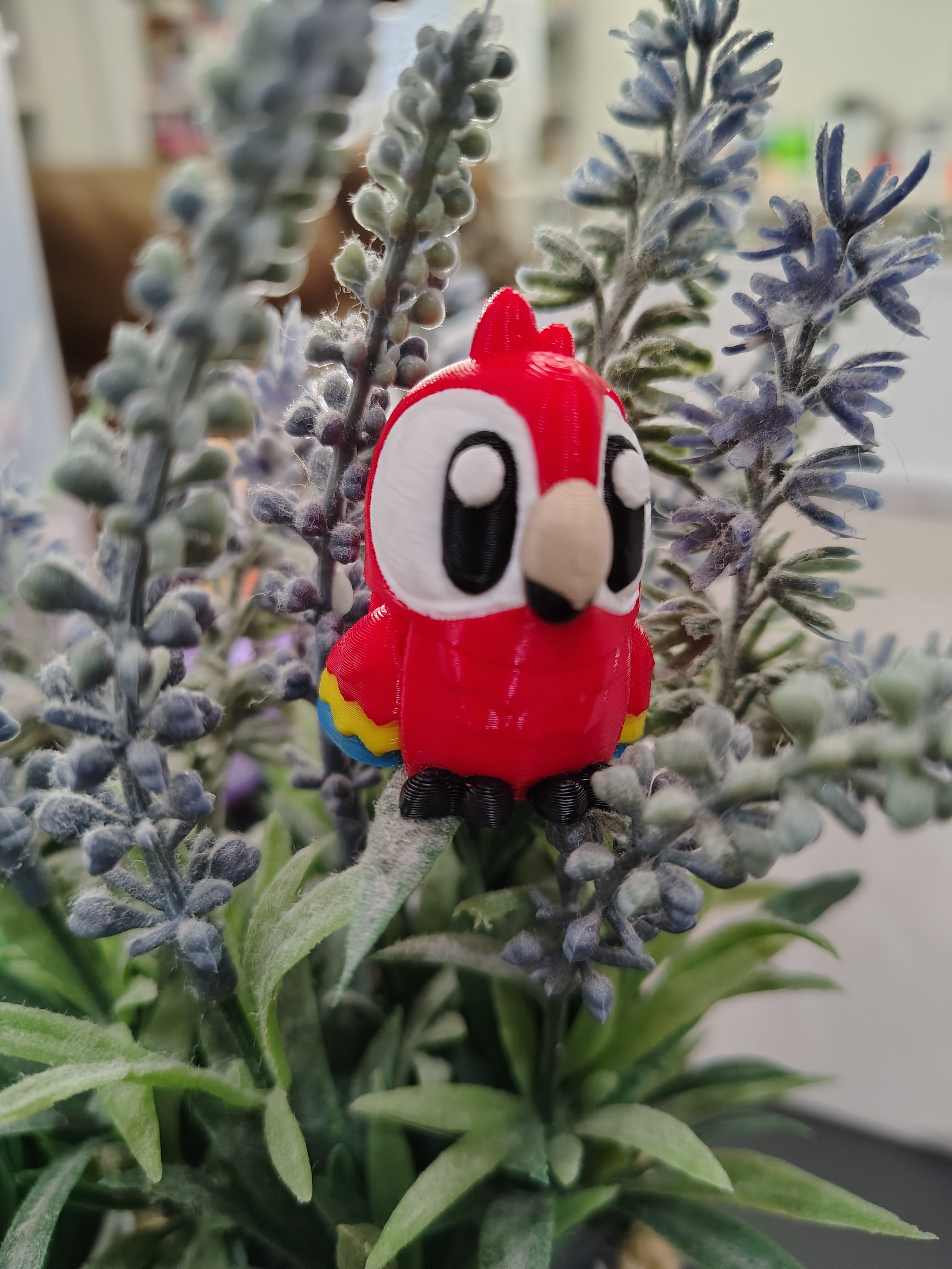 Mini Macaw