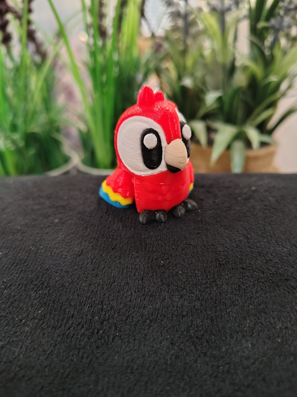 Mini Macaw