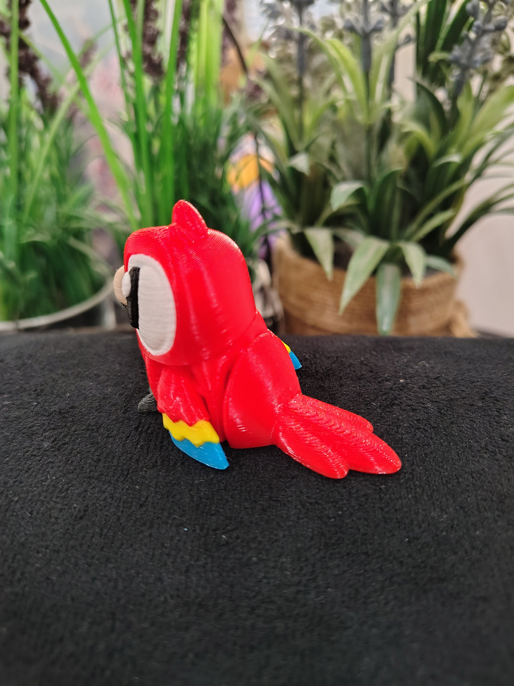 Mini Macaw