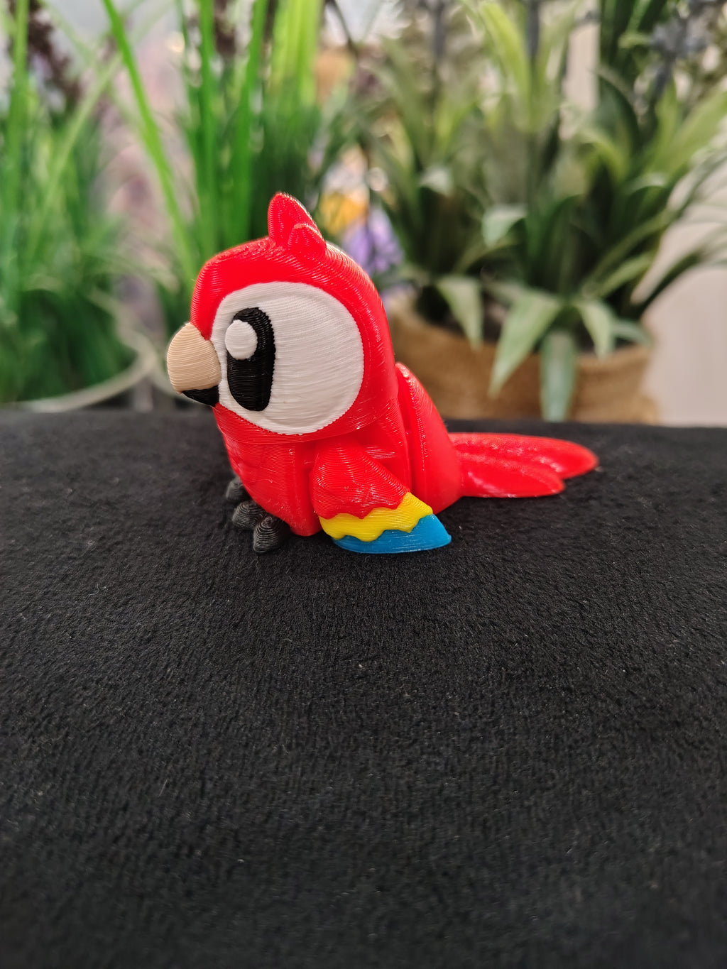 Mini Macaw