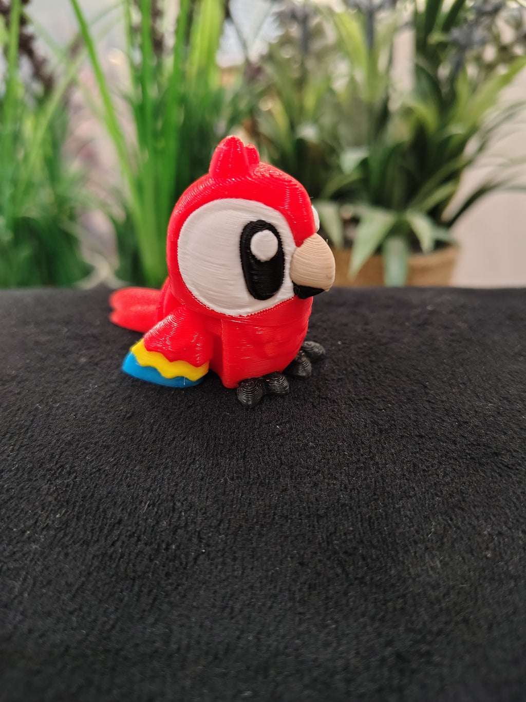Mini Macaw