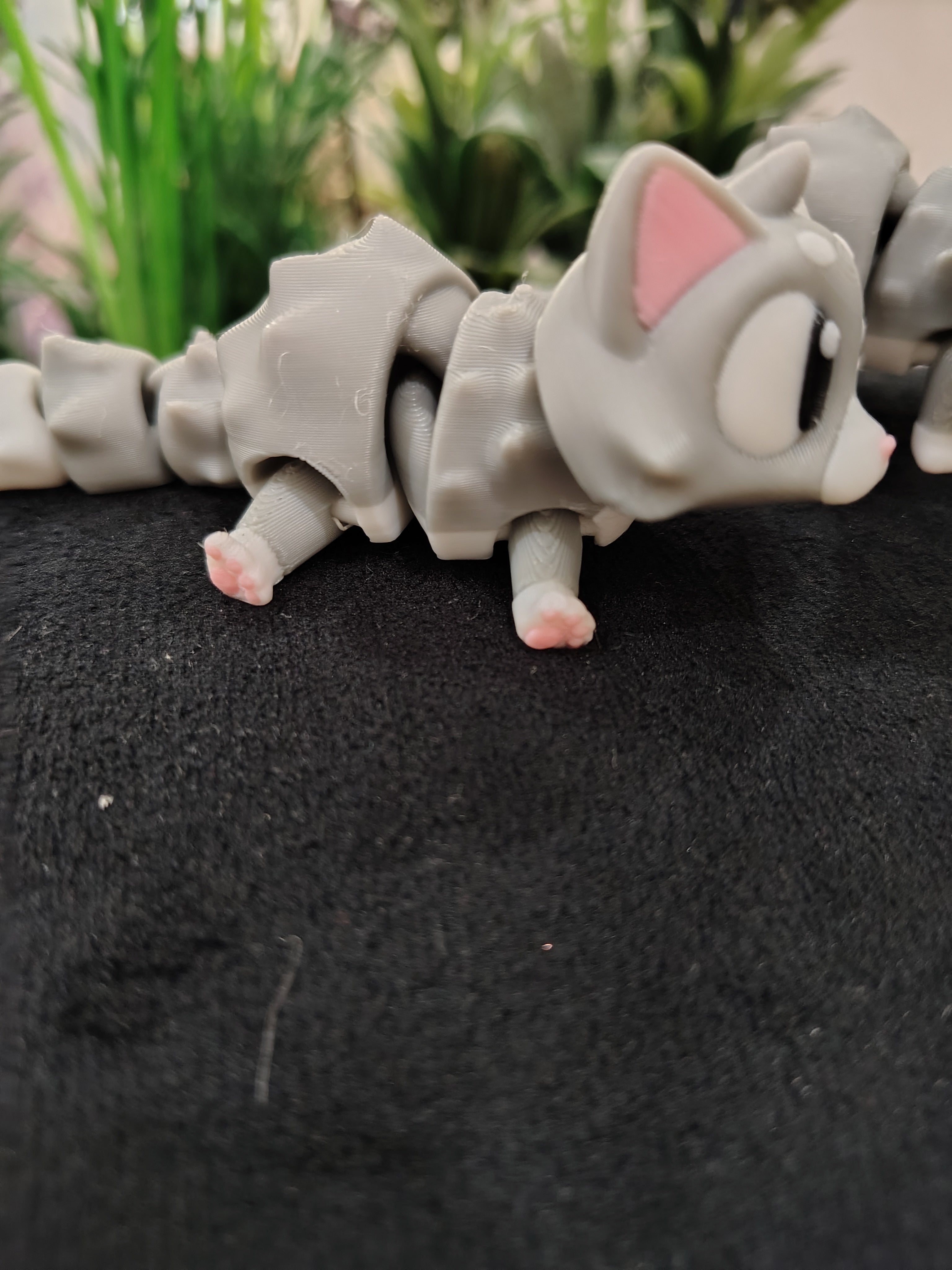 Mini Cat