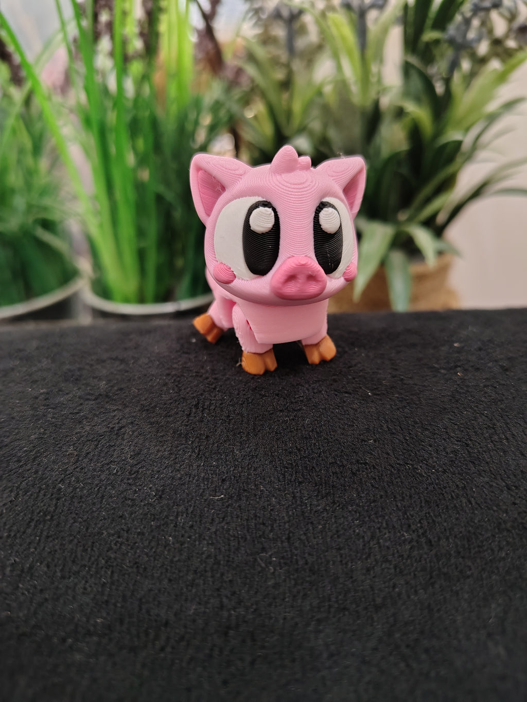 Mini Pig