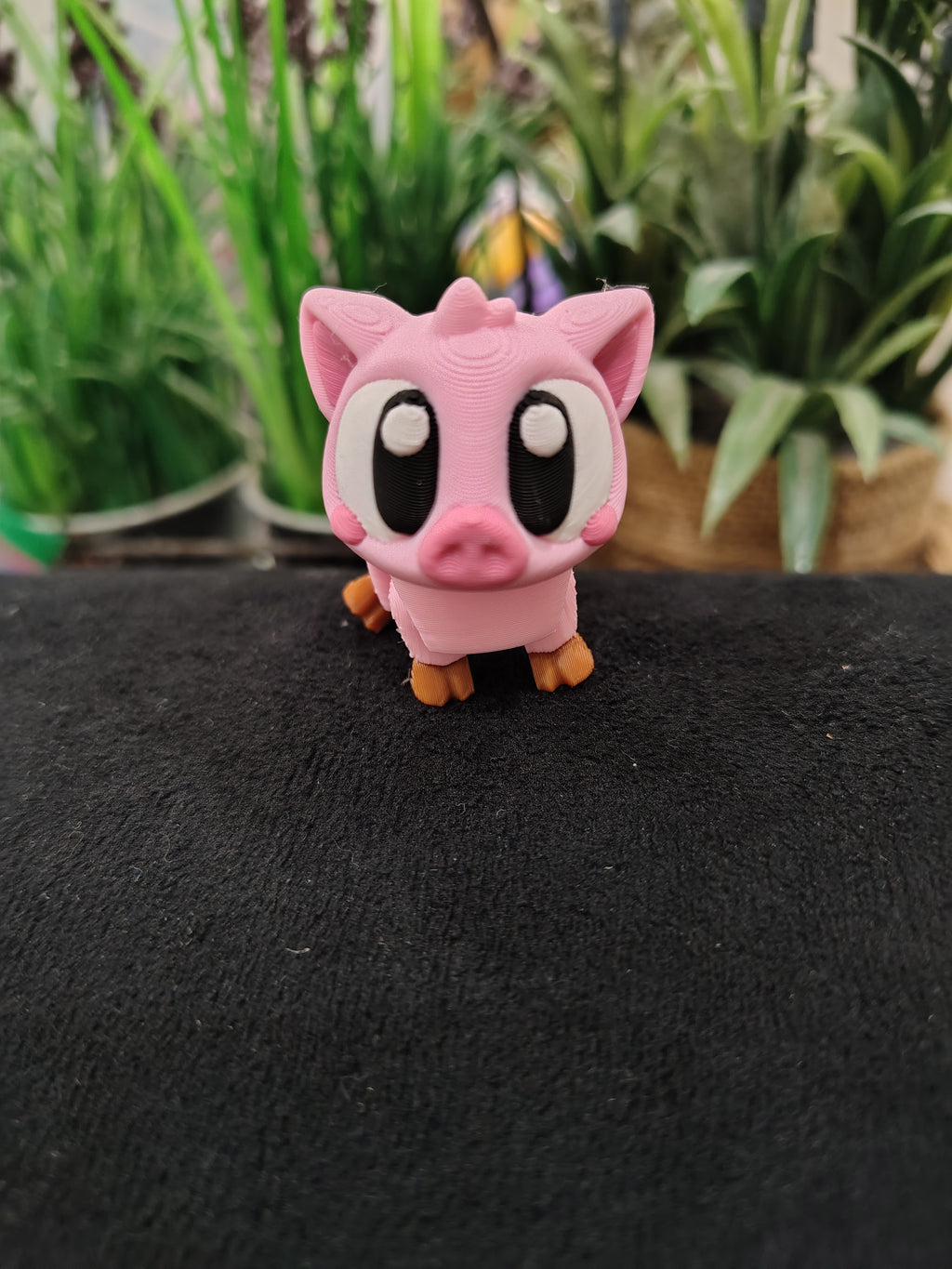 Mini Pig