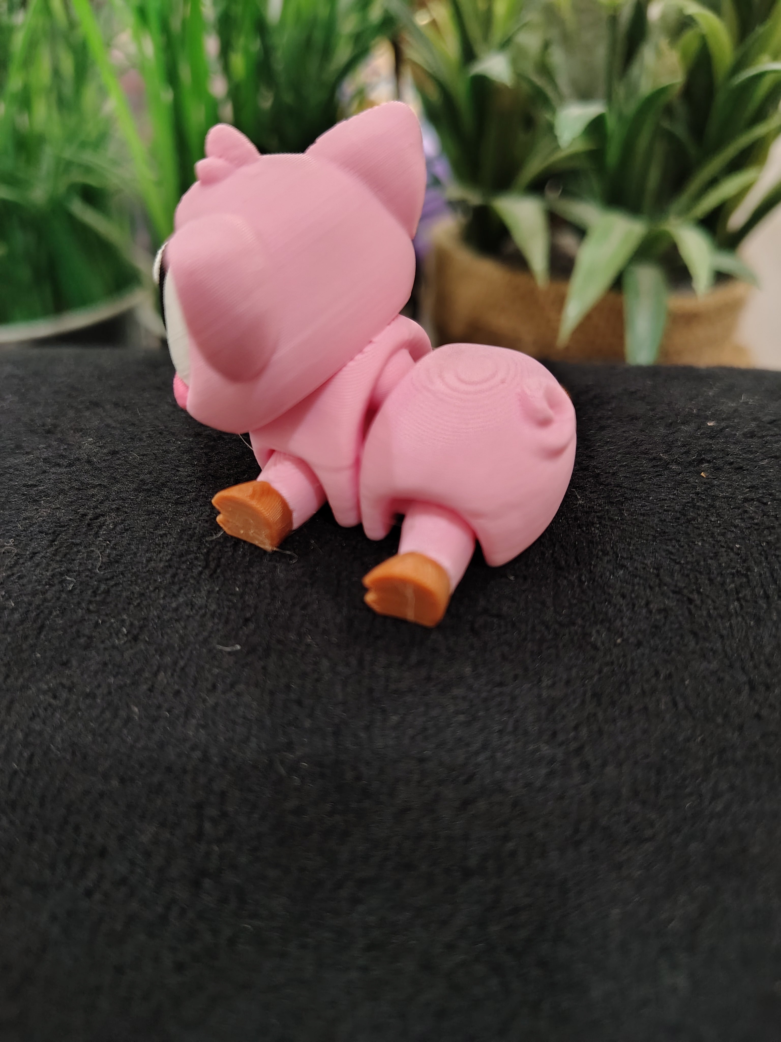 Mini Pig