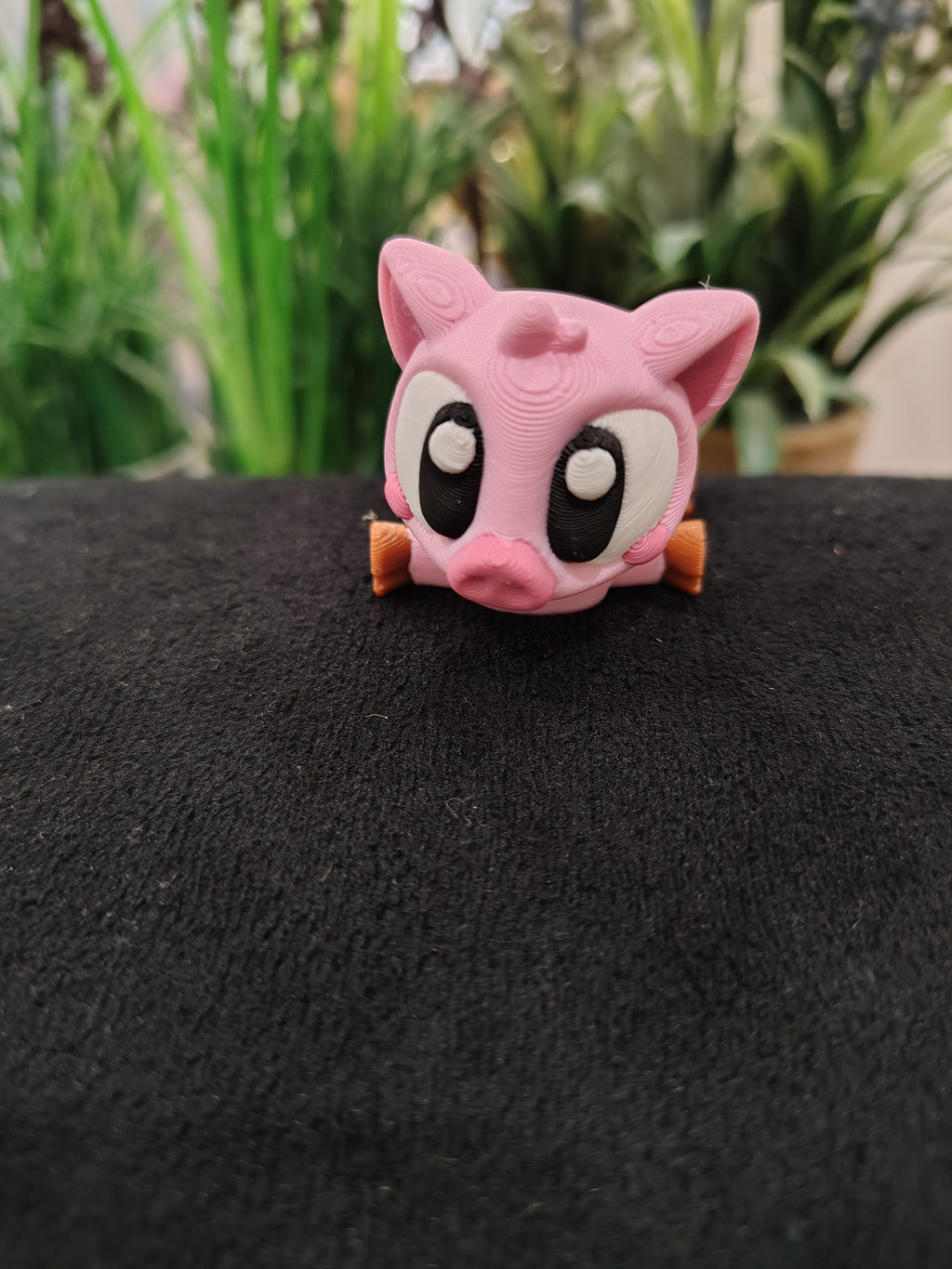 Mini Pig