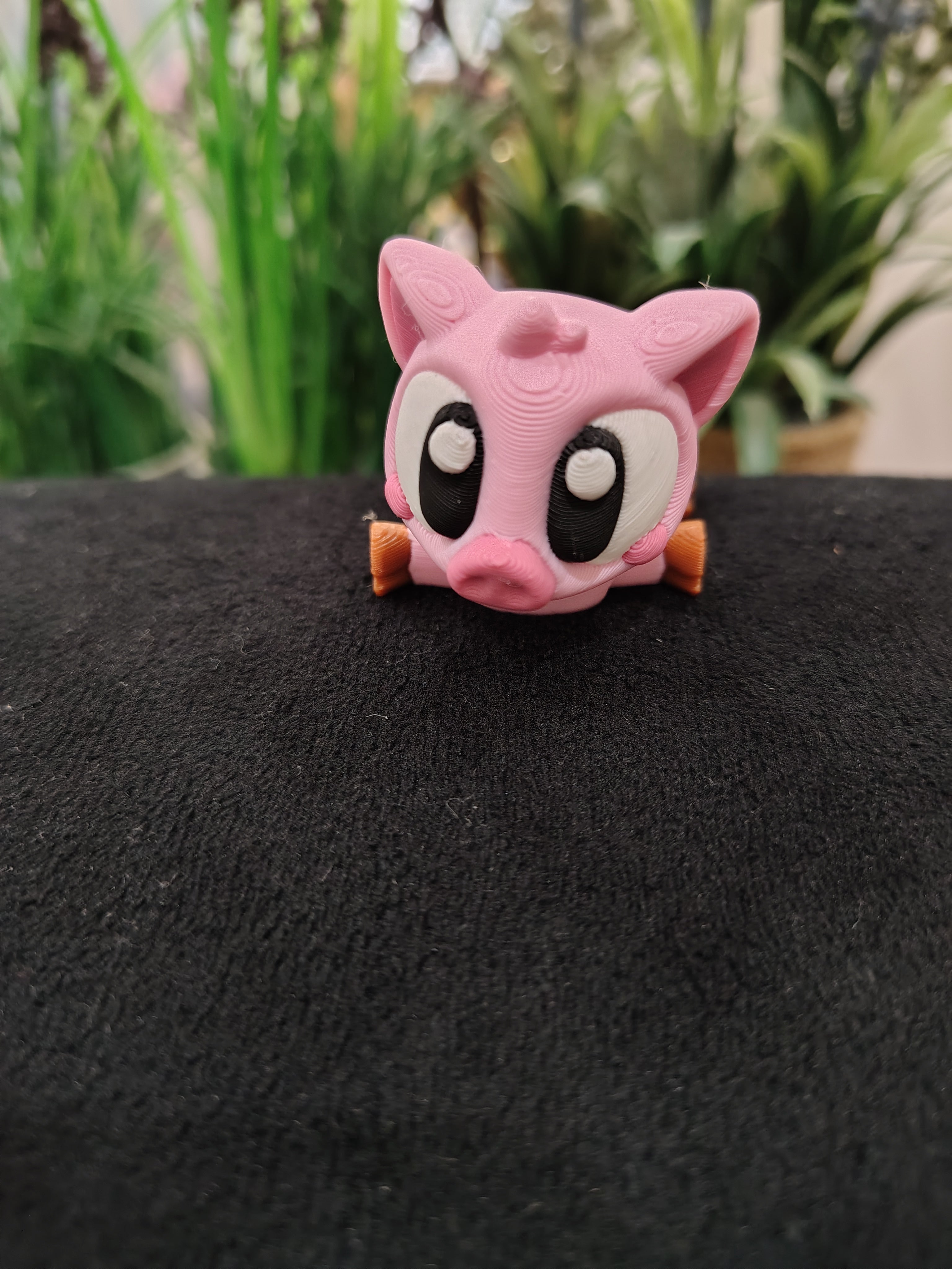 Mini Pig