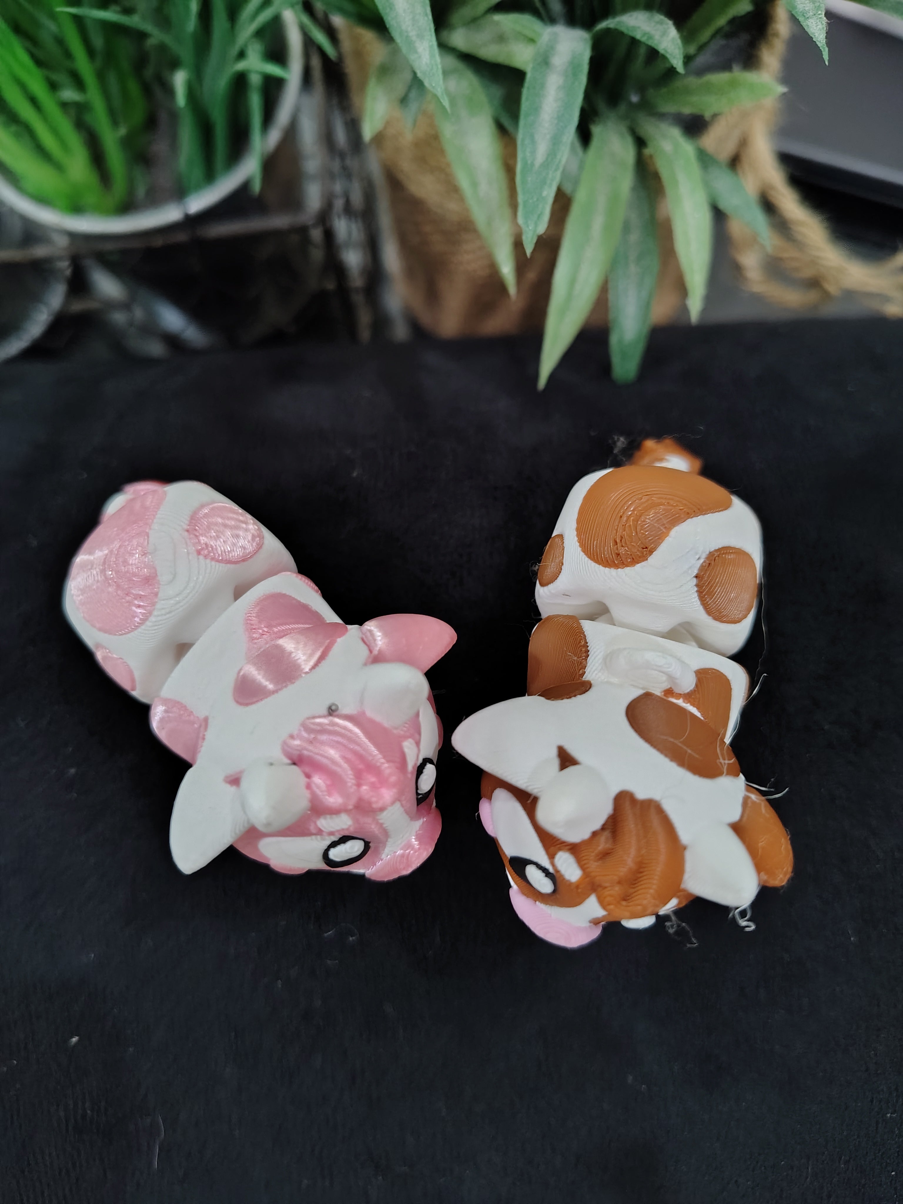 Mini Cow