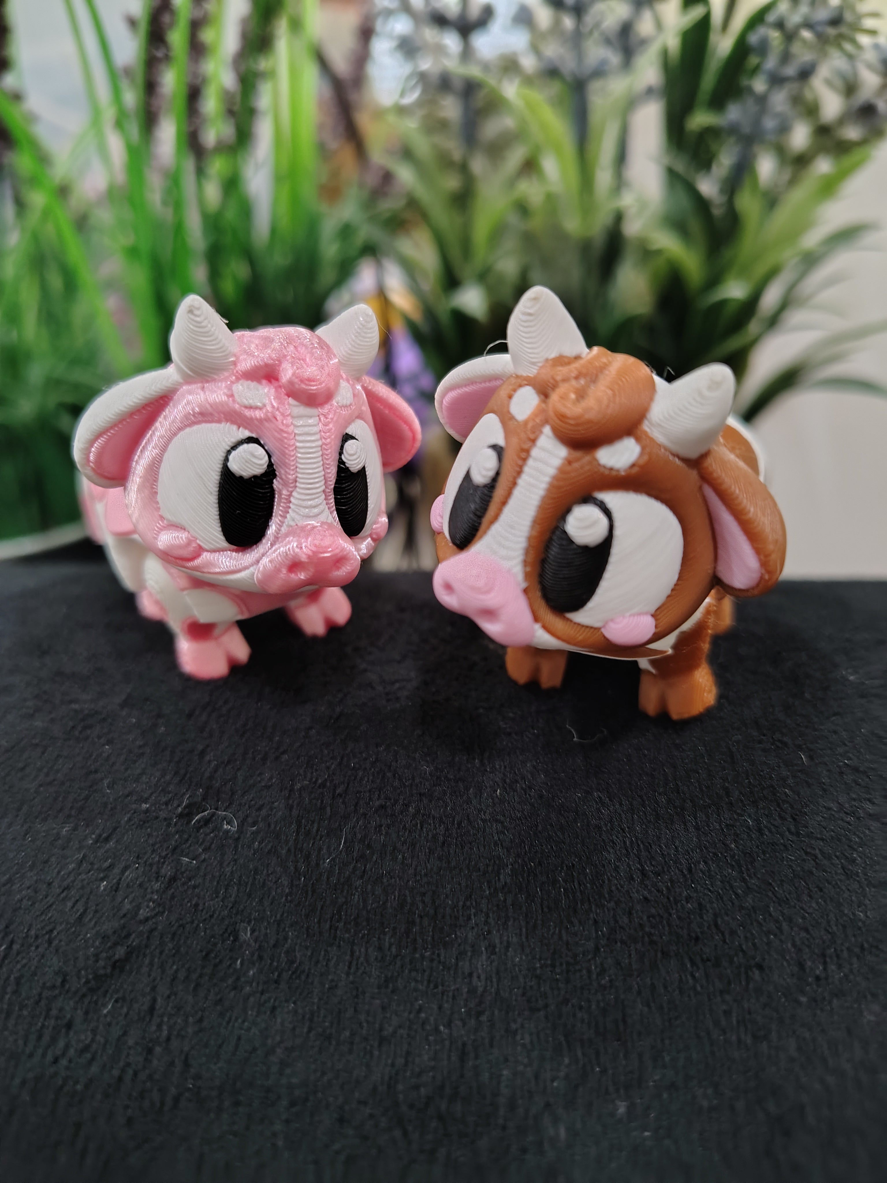 Mini Cow