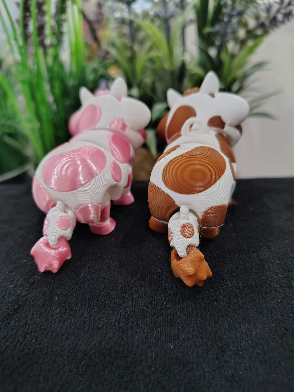 Mini Cow