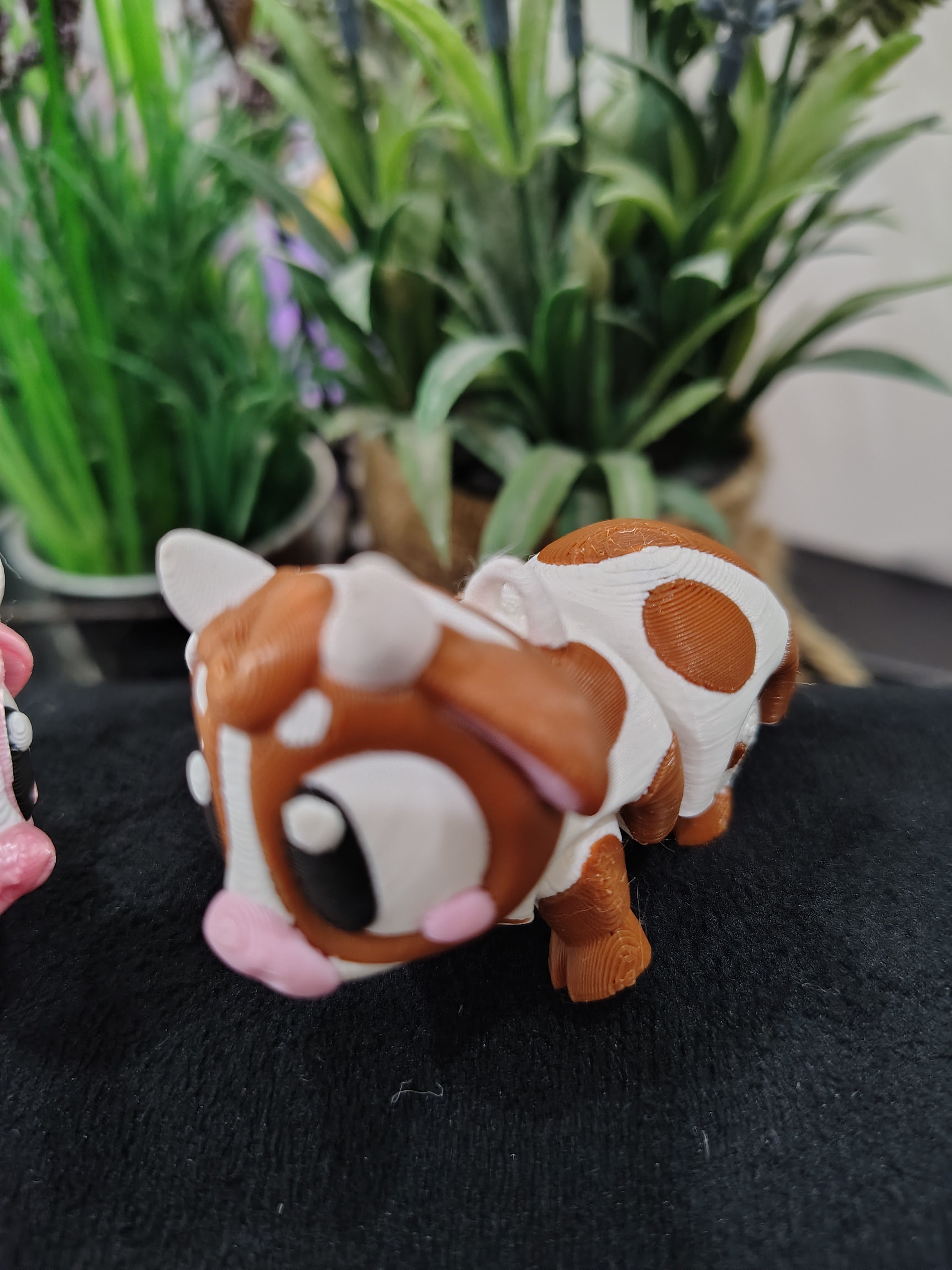 Mini Cow