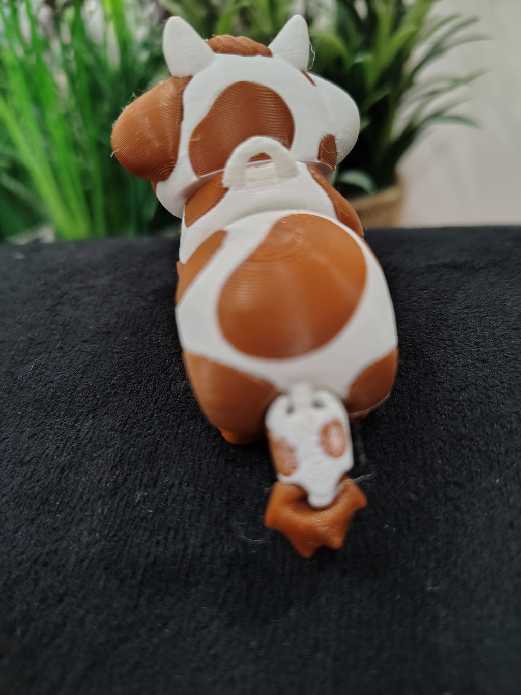 Mini Cow